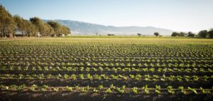 ALBA - Agriculture and Land-Based Training Association